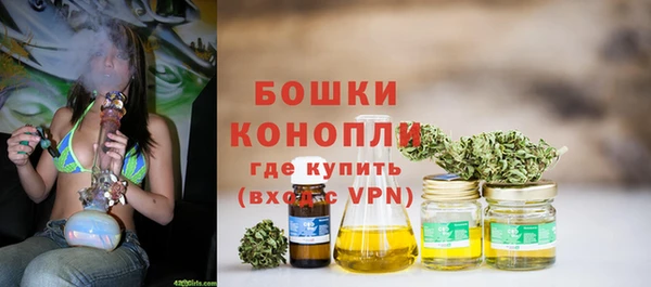 МДПВ Богородск