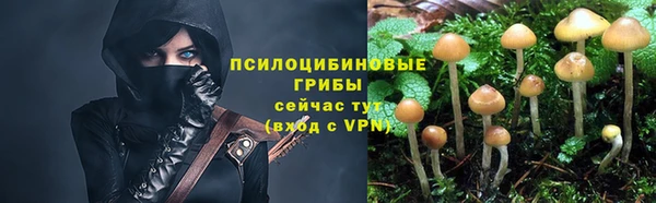 МДПВ Богородск