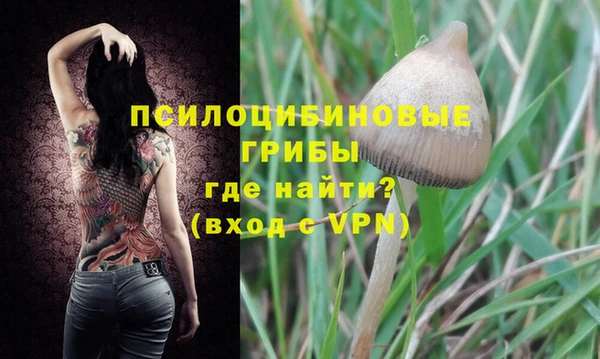 сатива Беломорск