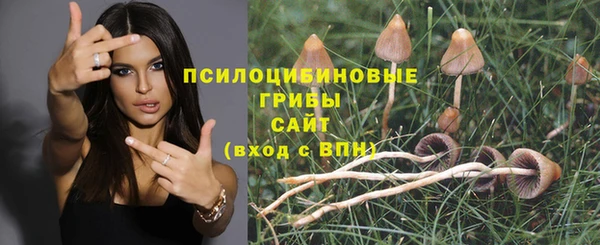 МДПВ Богородск