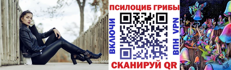где продают   Ивантеевка  Галлюциногенные грибы Magic Shrooms 