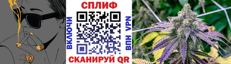 Каннабис ГИДРОПОН  купить наркотик  Ивантеевка 
